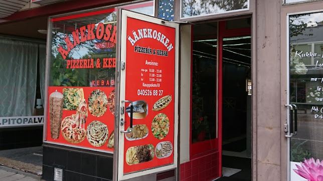 Äänekosken pizzeria &kebab