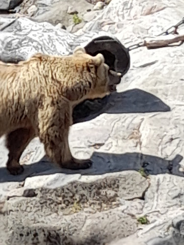 Comentarii opinii despre Ravintola Karhu