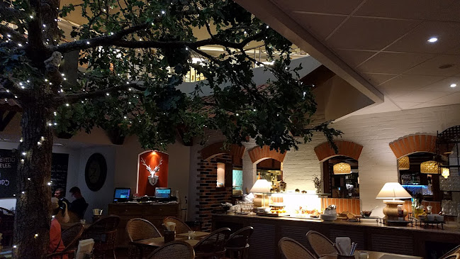 Comentarii opinii despre Ravintola TK's - Tammikellari