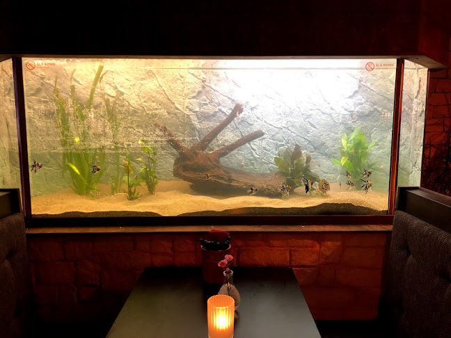 Comentarii opinii despre Milan Maikkula