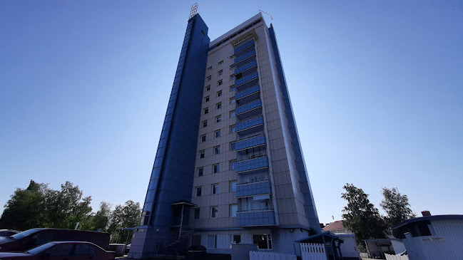 Comentarii opinii despre Raahen Tornitalo kiinalainen ravintola