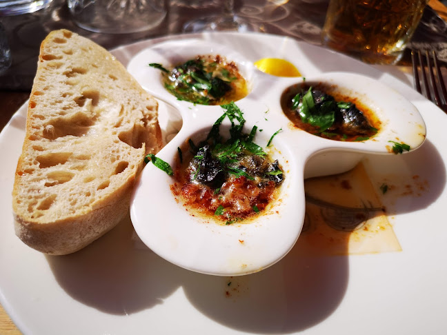 Comentarii opinii despre Ravintola Origo