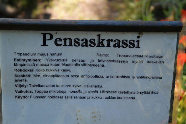 Frantsilan Kehäkukka - Hämeenkyrö