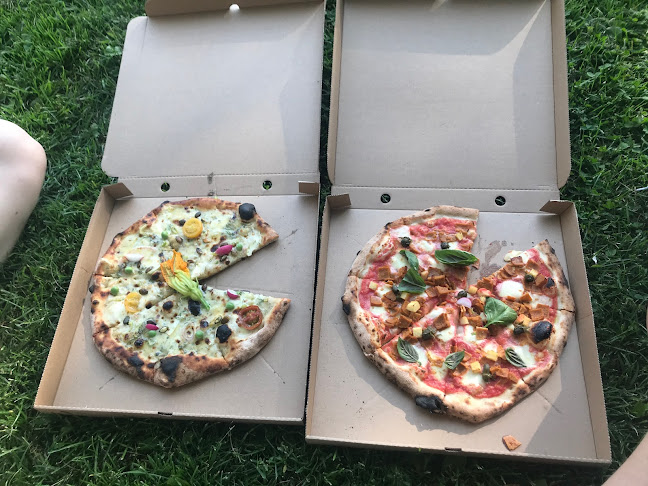 Pizzeria Ylp! Phone number