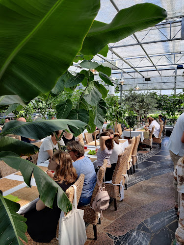 Comments and reviews of Linds Kök