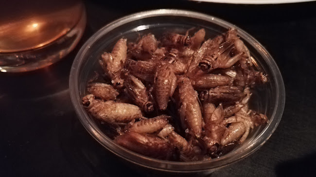 Rytmikorjaamo - Ravintola-ala