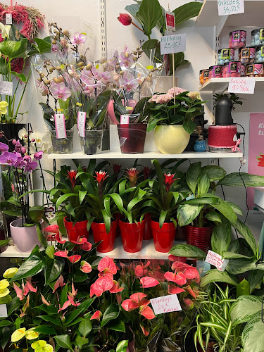 Laakson Karkki K&G ( kioski jäätelä kahvi ) - Helsinki