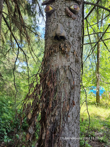 Comentarii opinii despre Hobitti-kahvila