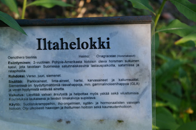 Frantsilan Kehäkukka - Ravintola-ala