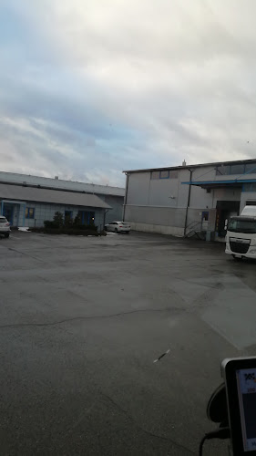 Comentarii opinii despre Condite Oy