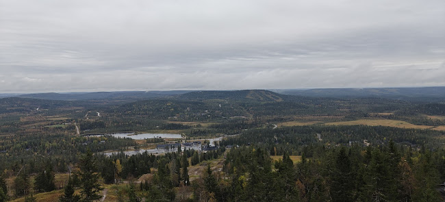 Comments and reviews of Ravintola Hilltop