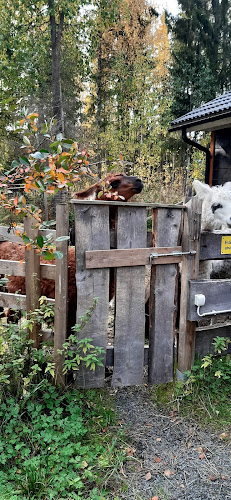 Pitopalvelua Buen Gusto - Nokia