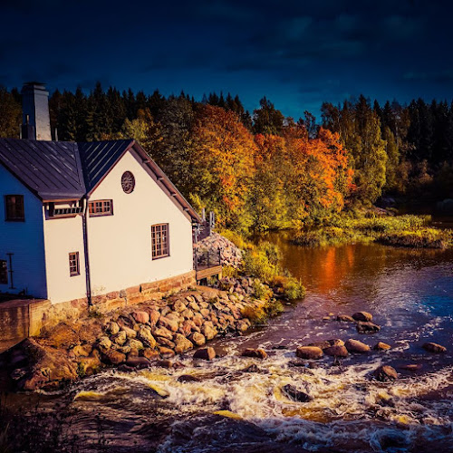 Ravintola Kuninkaan Lohet - Vanha Viilatehdas - Ravintola-ala