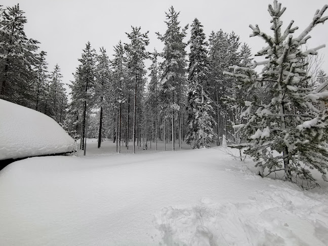 Ravintola Metsäkartano - Rovaniemi
