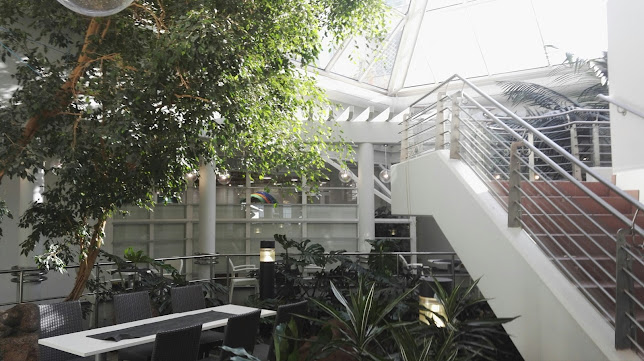 Comentarii opinii despre Ravintola Wanha Herra