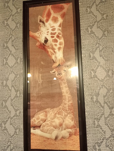 Sino's shashlik and steak house - Kotka