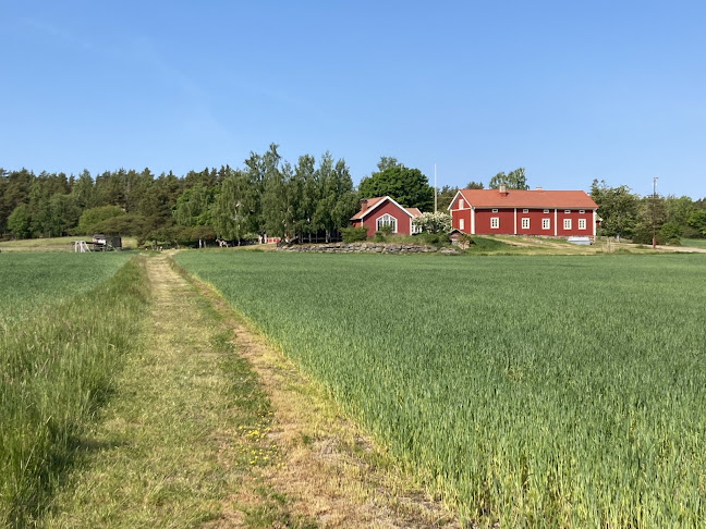 Comentarii opinii despre Ravintola Vaihela