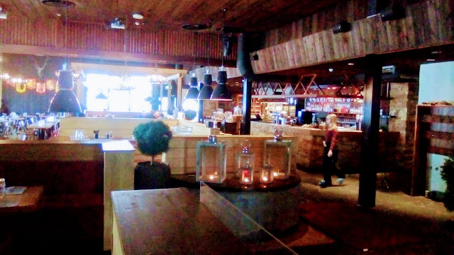 Opinii despre Villisika, Ruka în Kuusamo - Ravintola-ala