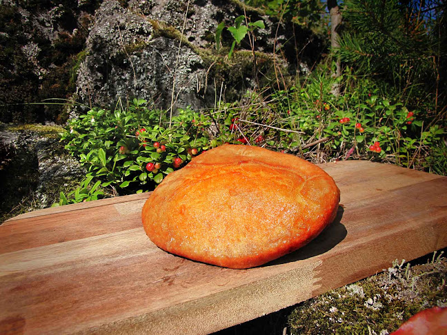 Comentarii opinii despre Leipomo Matti Jussila Ky