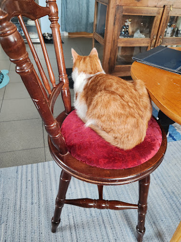 Kahvila Kissantassu - Ravintola-ala