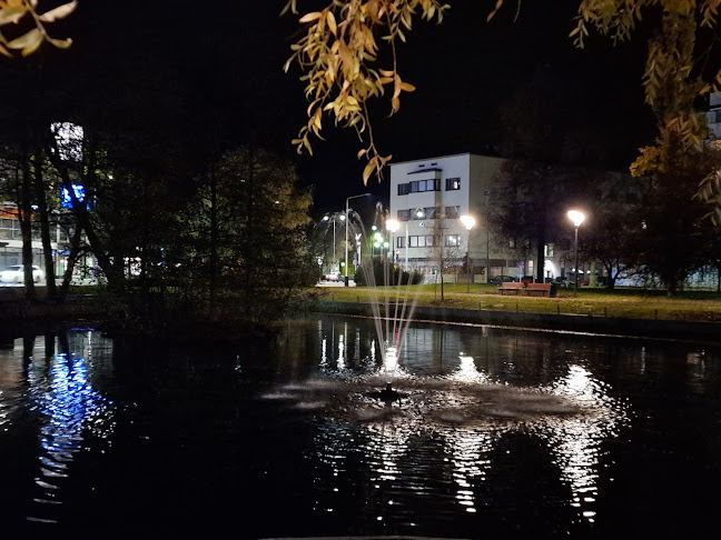 Ravintola Puistolinna - Forssa