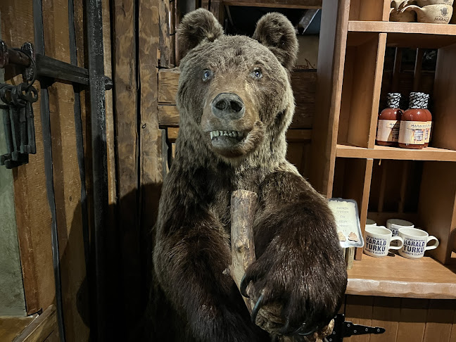 Aurakatu 3, 20100 Turku