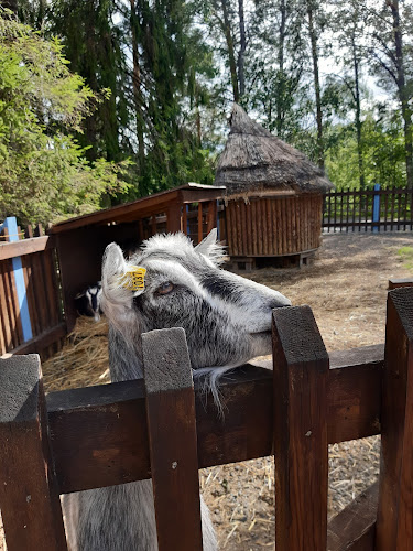 Kymen Paviljonki - Kouvola