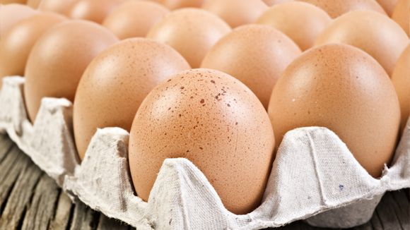 Comentarii opinii despre Lähellä Deli