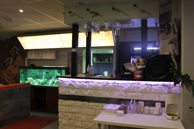 Opinii despre Mezopotamya47 Ravintola Kontula în Helsinki - Ravintola-ala