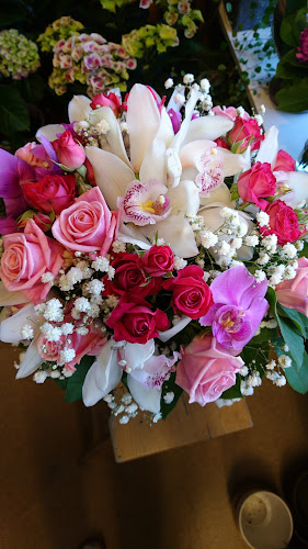 KukkaBox Phone number