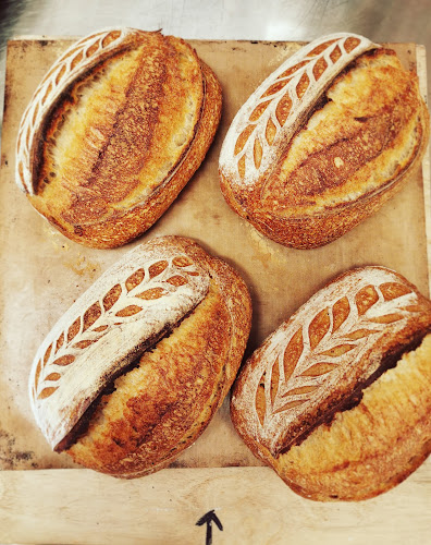 Opinii despre Fatto a Mano în Pori - Ravintola-ala