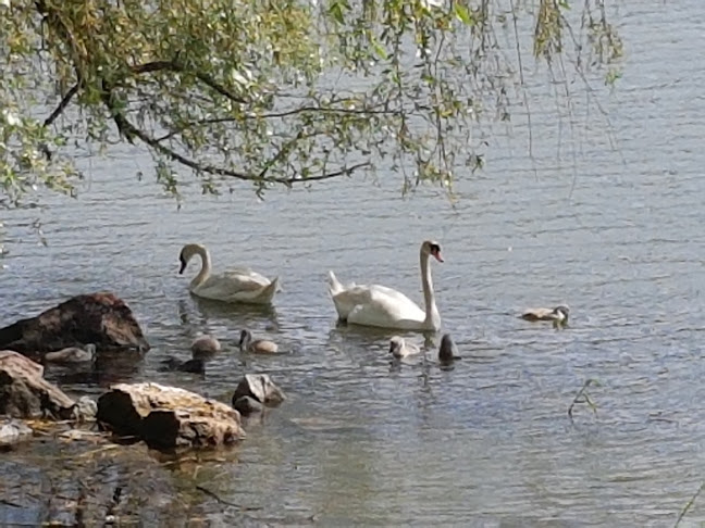 Ravintola Töölönranta