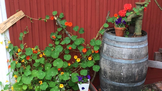 Kesäkahvila Lempi - Ravintola-ala