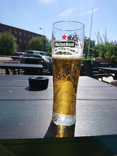 Comentarii opinii despre Dillo