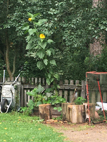 Korsutie 20, 00370 Helsinki