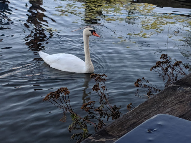 Opinii despre Ravintola Töölönranta în Helsinki - Ravintola-ala