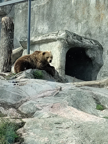 Opinii despre Ravintola Karhu în Helsinki - Ravintola-ala