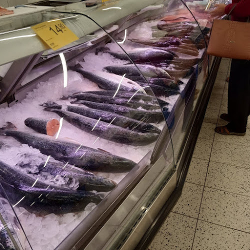 Disas Fish Hamina - Hamina