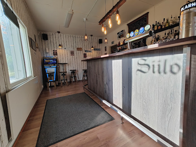 Comentarii opinii despre Pub Siilo