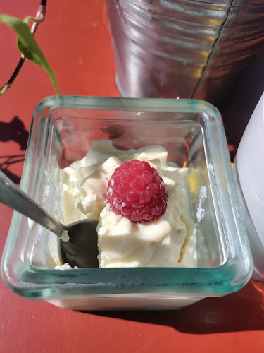 Olavi Mattsson Open Times