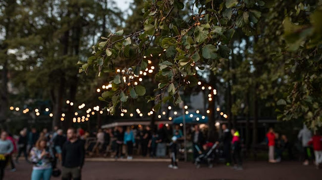 Opinii despre Ravintola Kasinonranta Paviljonki Lauttasaari în Helsinki - Ravintola-ala