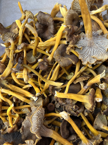 Opinii despre Laakson Karkki K&G ( kioski jäätelä kahvi ) în Helsinki - Ravintola-ala