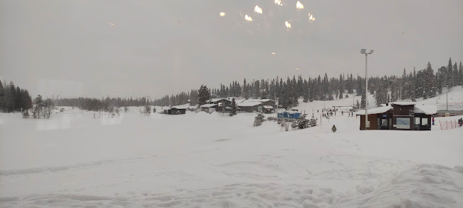 Opinii despre Ski Bistro în Kuusamo - Ravintola-ala