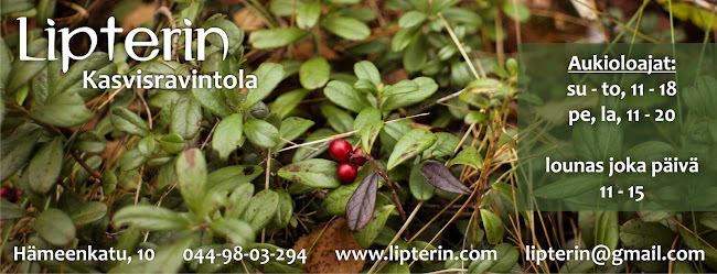 Lipterin Vegetarian Restaurant - Lahti