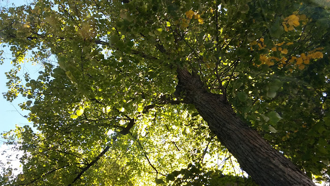 Leipomoliike Aitolahti Ky - Ravintola-ala