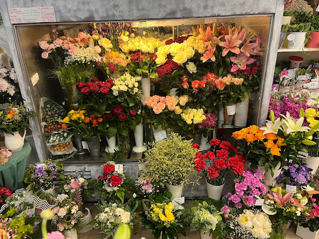 Mannerheimintie 87 LH 1, 00270 Helsinki