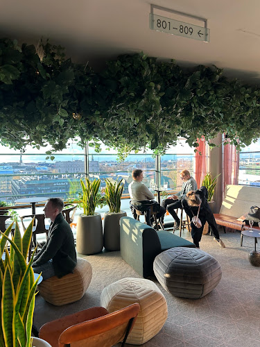 Monkey Rooftop Bar Open Times