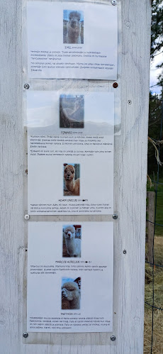 Haanpään Kesäkahvila / Alpakat - Ravintola-ala
