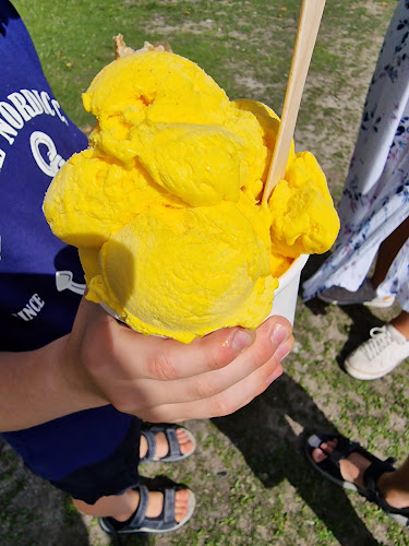 Comentarii opinii despre Helsingin jäätelötehdas, Kaivopuiston jäätelökioski