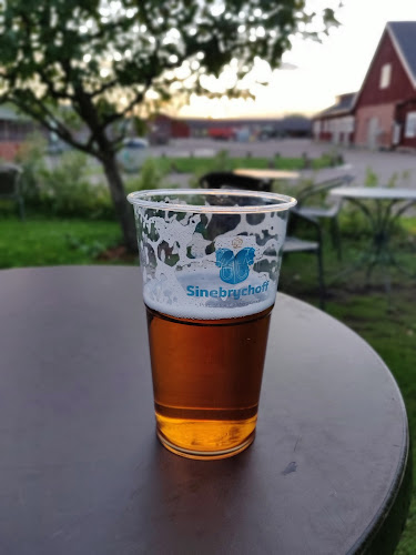 Opinii despre Ravintola Wanha Pehtoori în Helsinki - Ravintola-ala